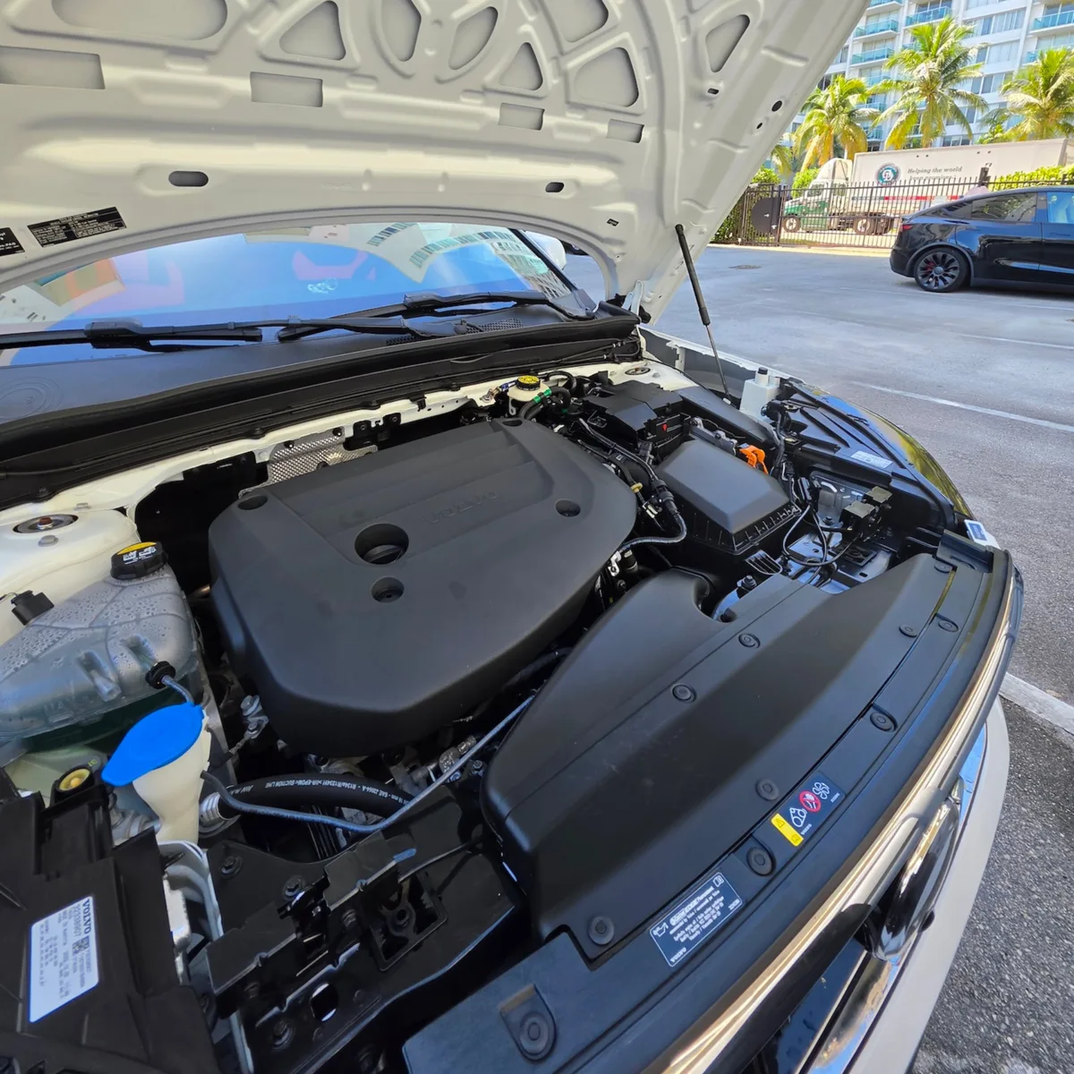 Engine bay cleaning — after