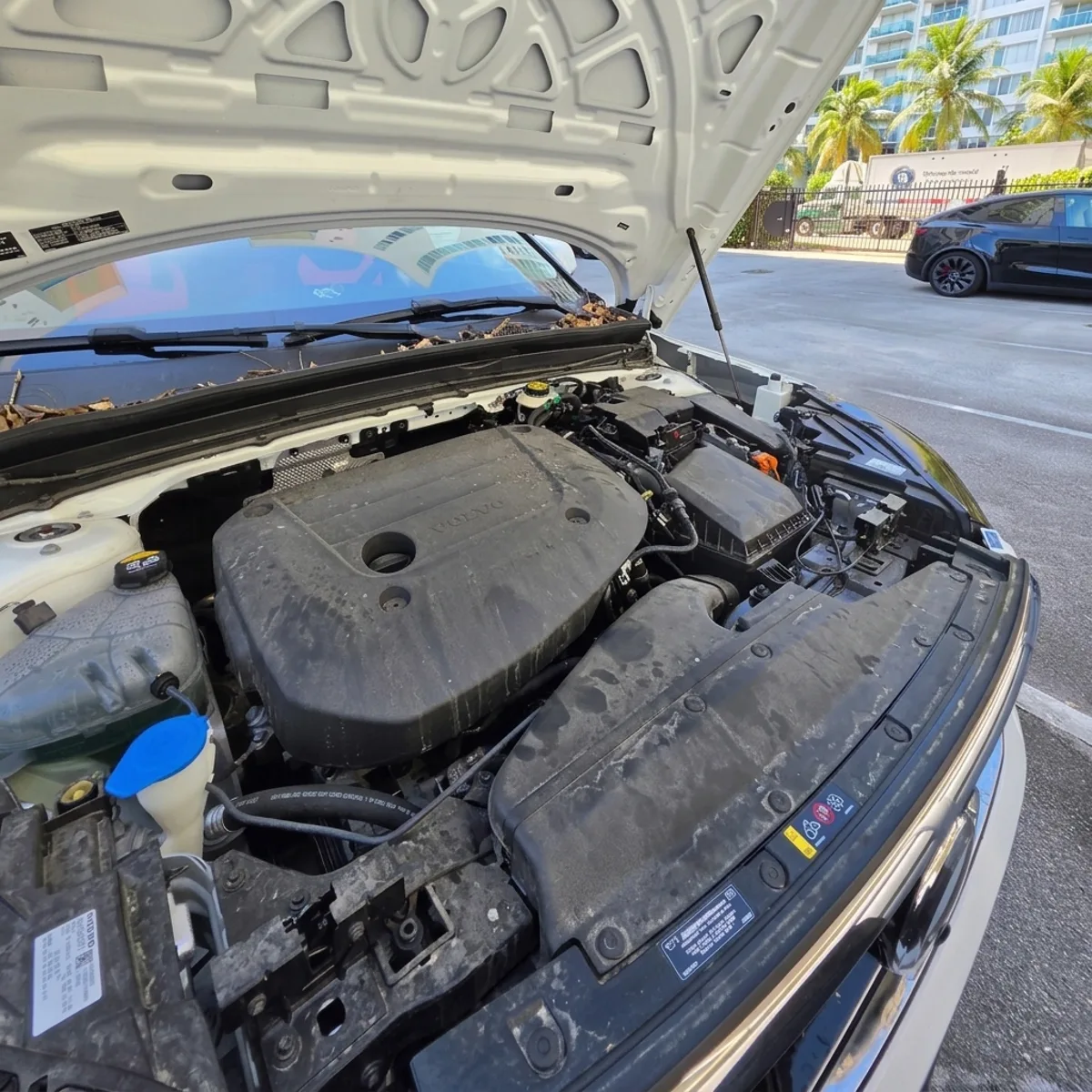 Engine bay cleaning — before