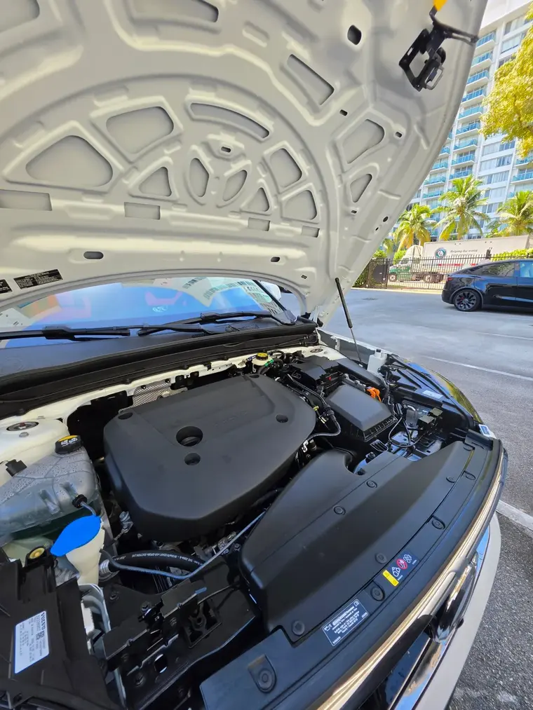 Clean, detailed engine bay after engine cleaning